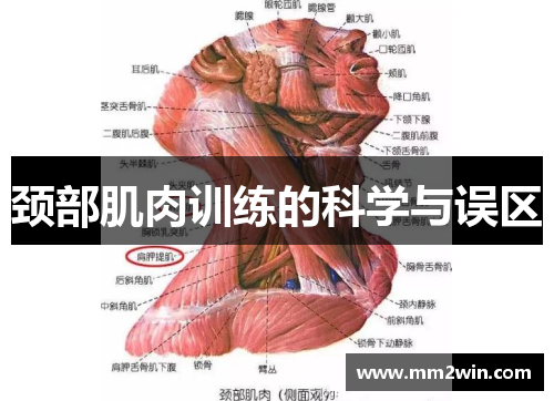 颈部肌肉训练的科学与误区